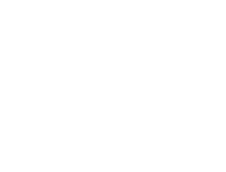 Blue Bear Den